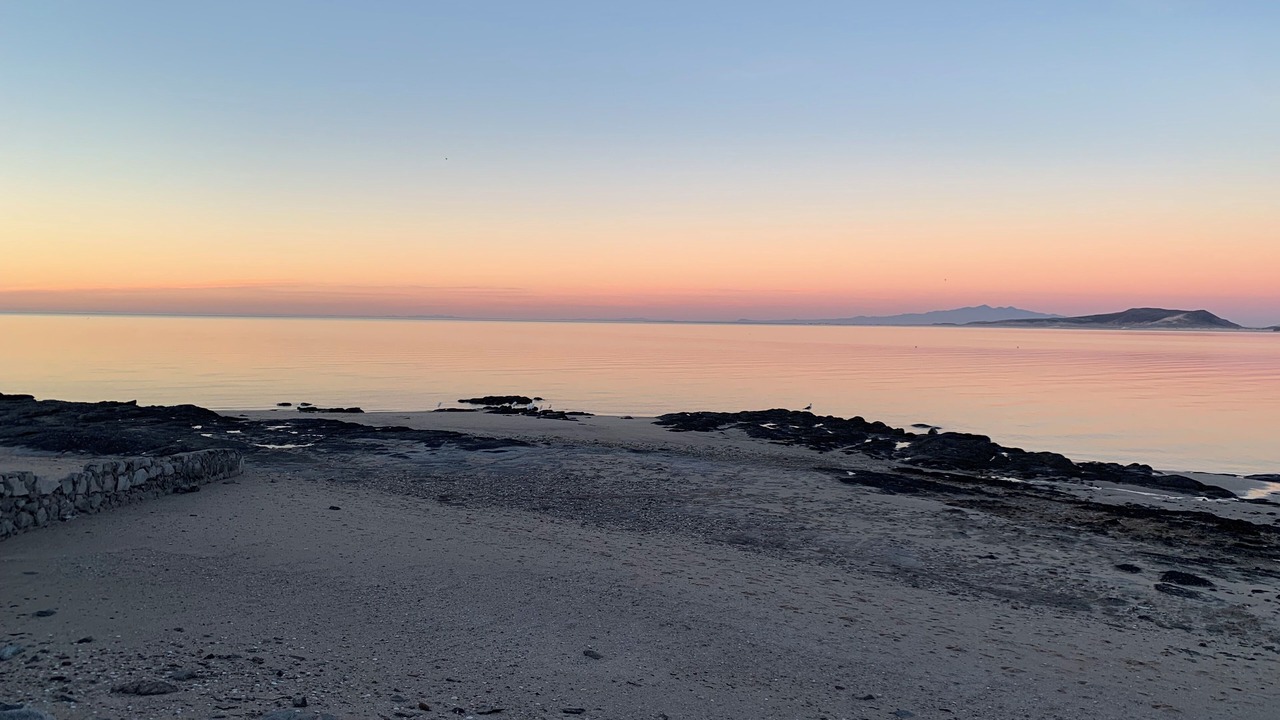 Photo of Others in Cholla Bay