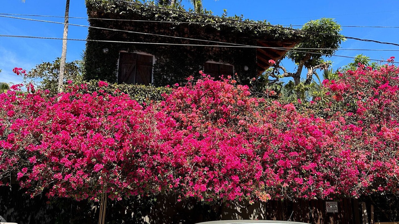 Photo of Outdoor in San Francisco