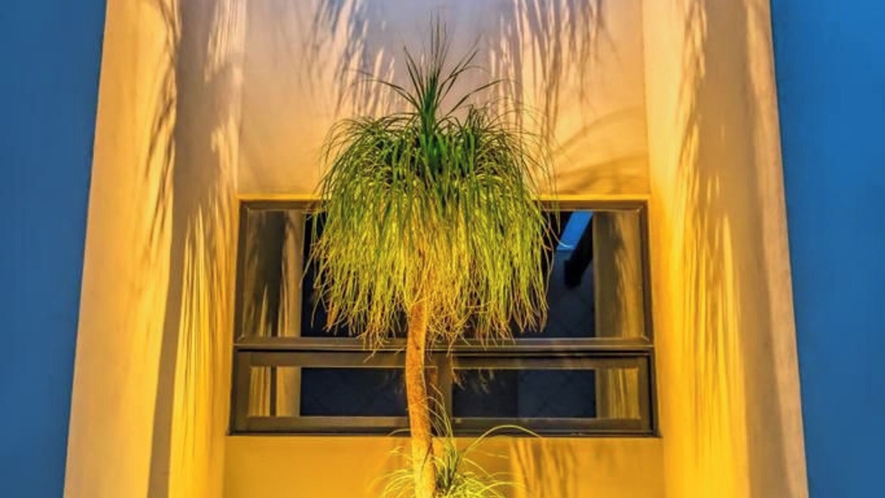 Photo of Outdoor in Puerto Penasco
