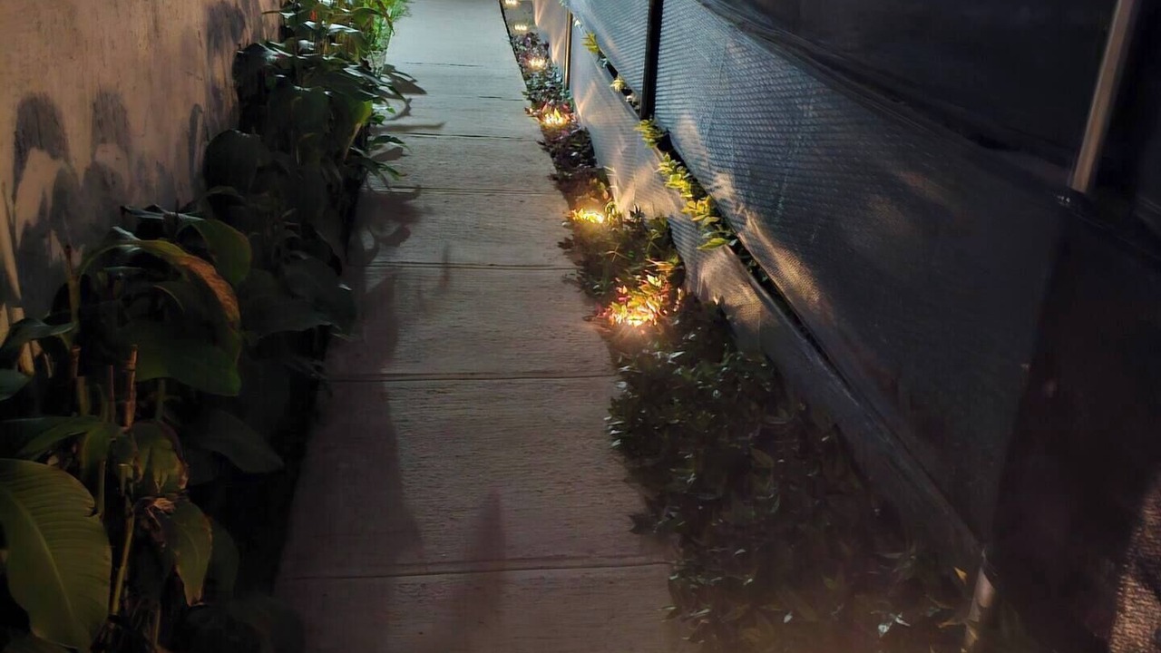 Photo of Outdoor in Zapopan