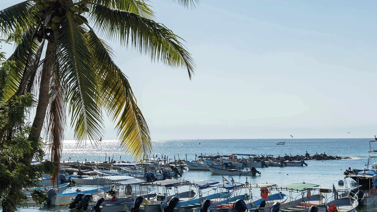 Photo of Others in Punta de Mita
