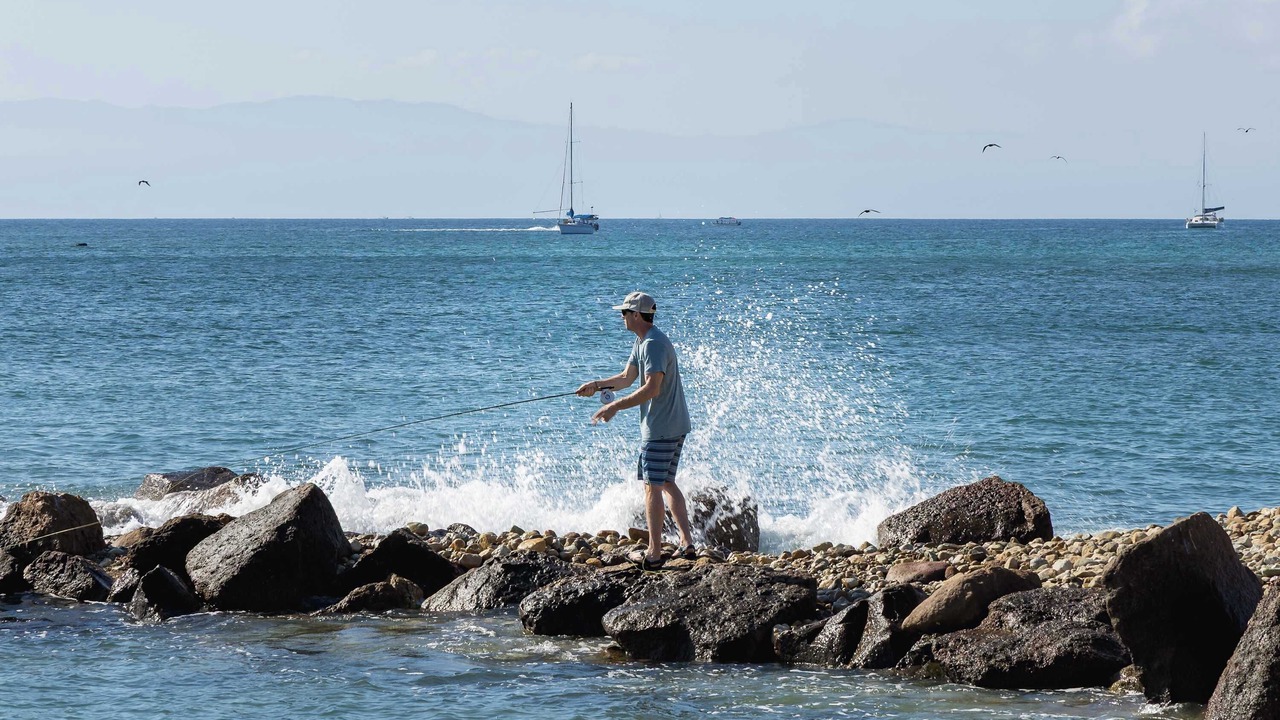 Photo of Others in Punta de Mita