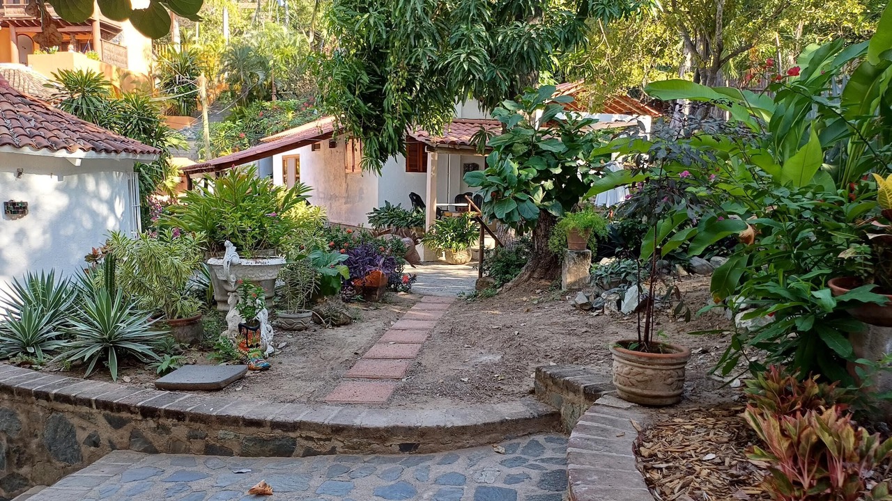 Photo of Outdoor in Playa Las Gatas
