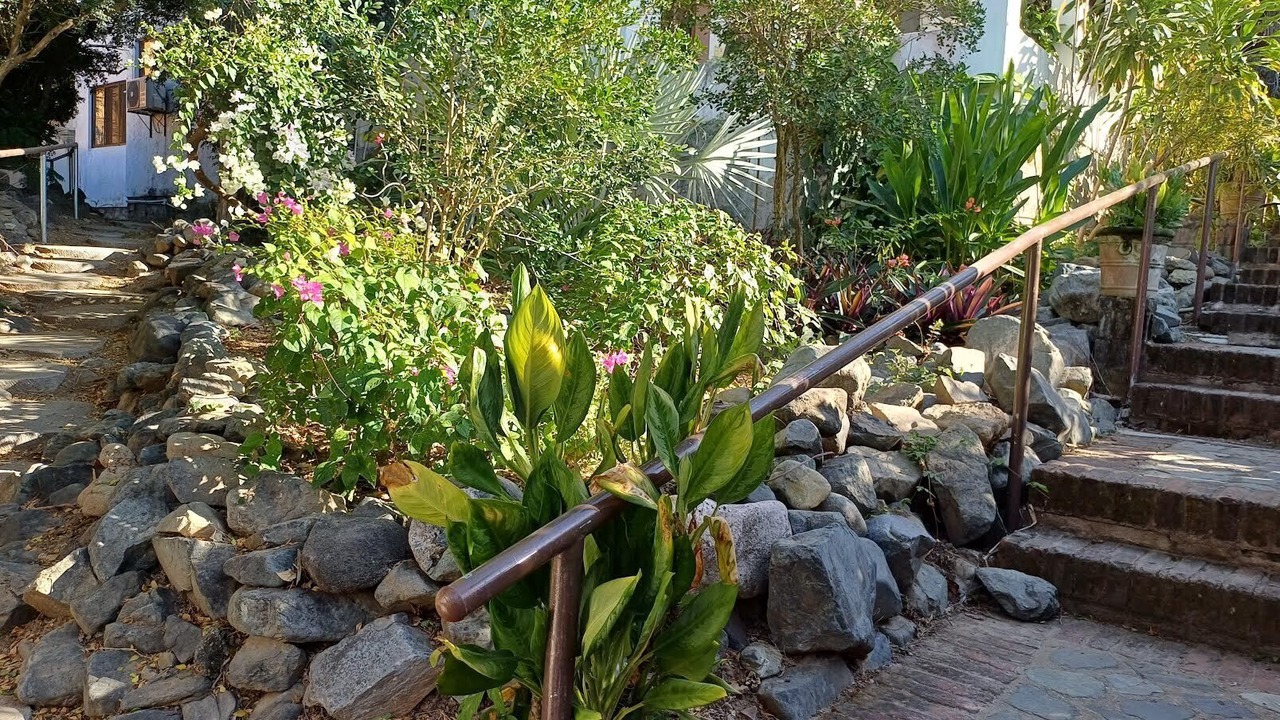 Photo of Outdoor in Playa Las Gatas