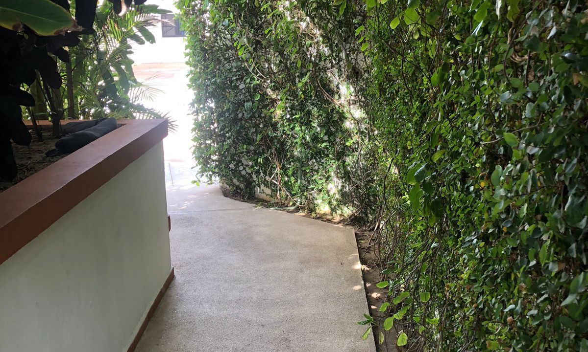 Photo of Outdoor in Mazatlan