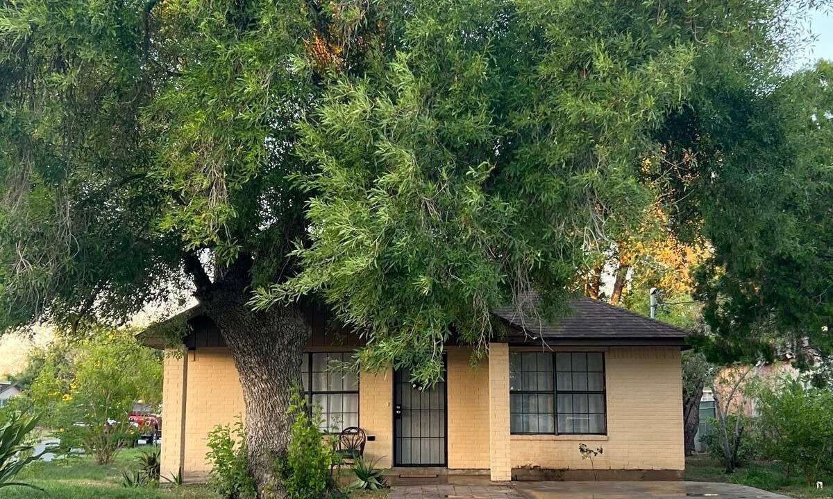 Photo of Outdoor in Brownsville