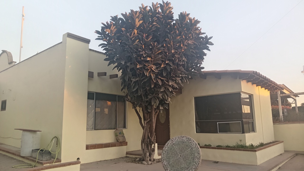 Photo of Patio Balcony in La Joya