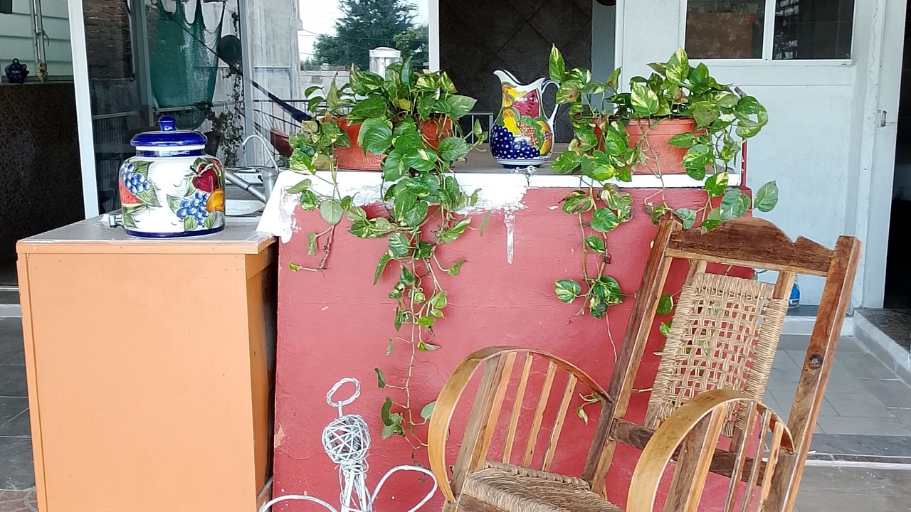 Photo of Outdoor in Costera Acapulco