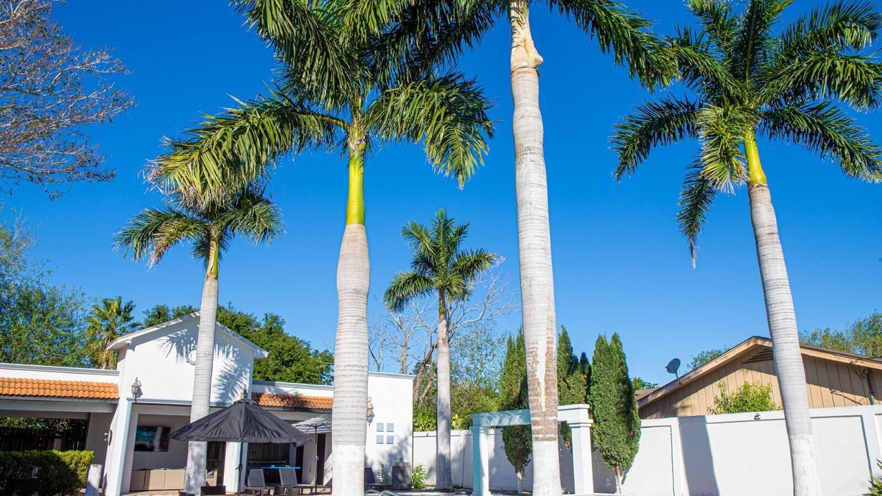 Photo of Outdoor in Brownsville