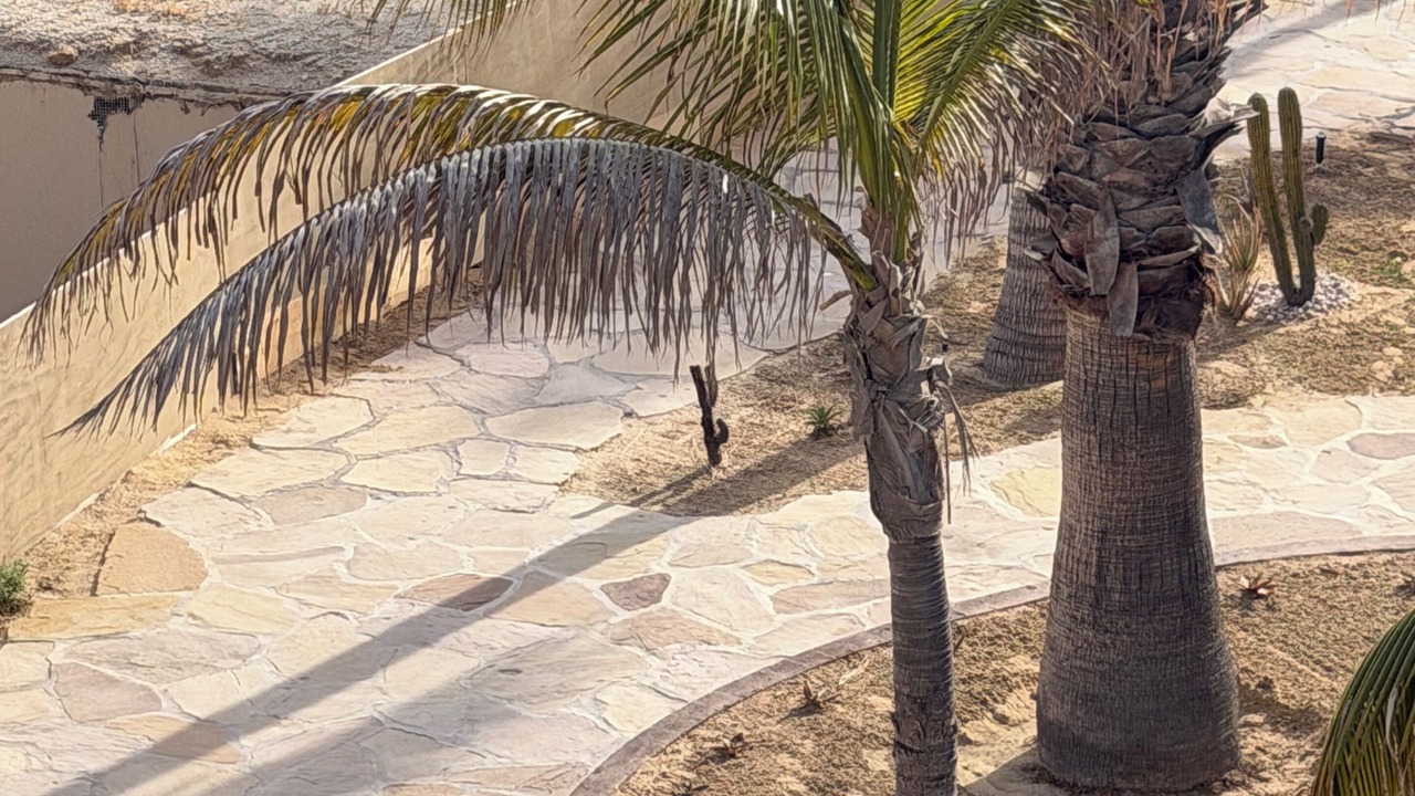 Photo of Outdoor in Marina