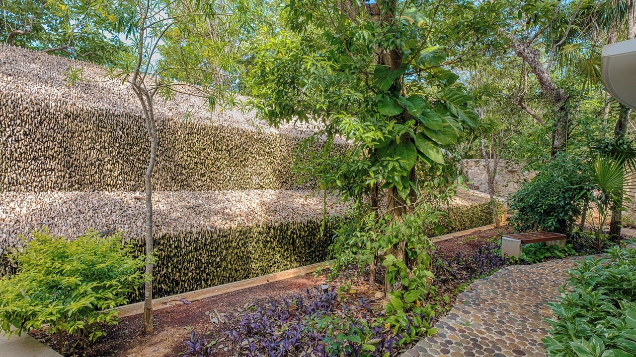 Photo of Outdoor in Akumal