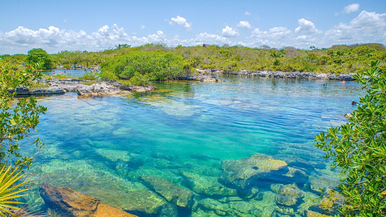 Photo of Others in Akumal