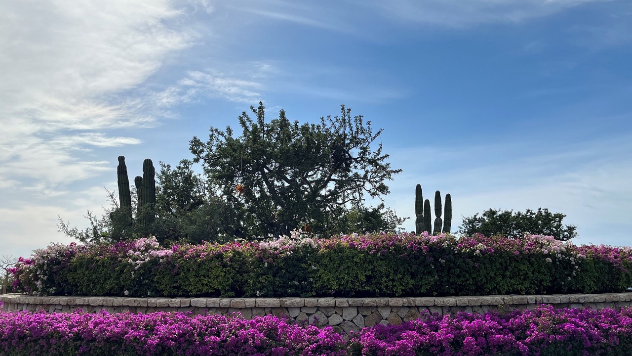 Photo of Outdoor in Los Cangrejos II y III