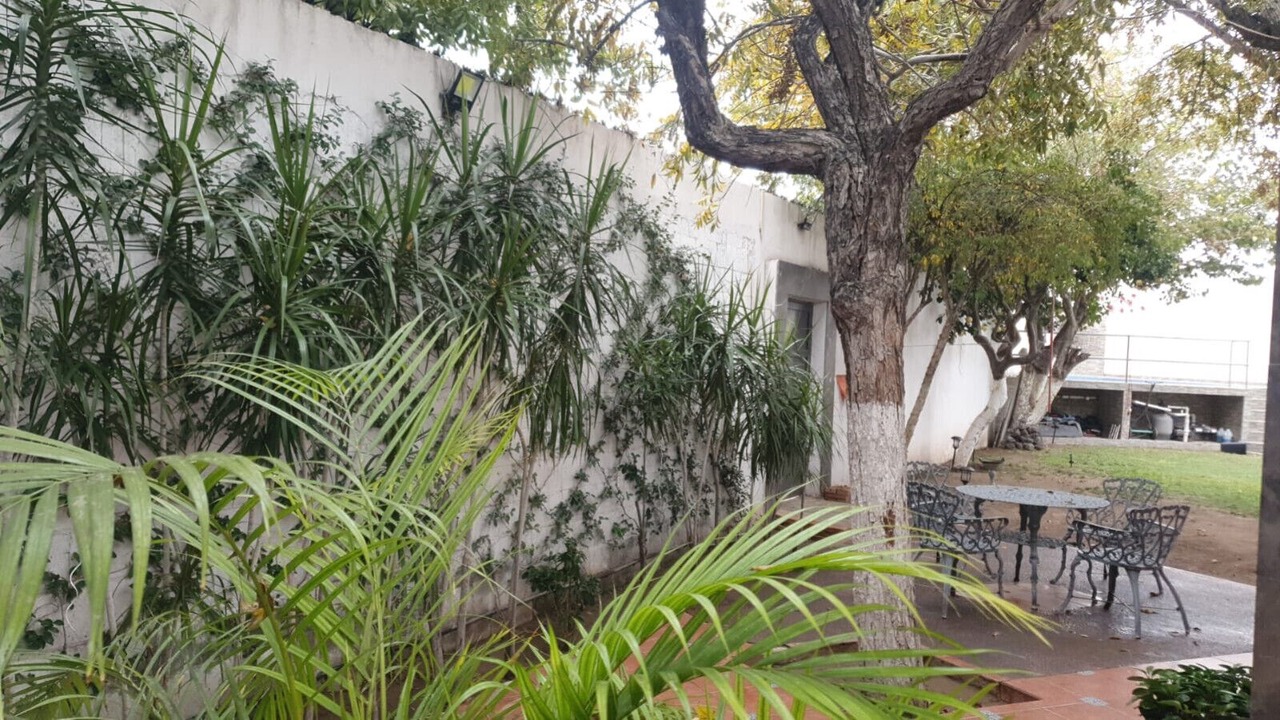 Photo of Outdoor in Torreon
