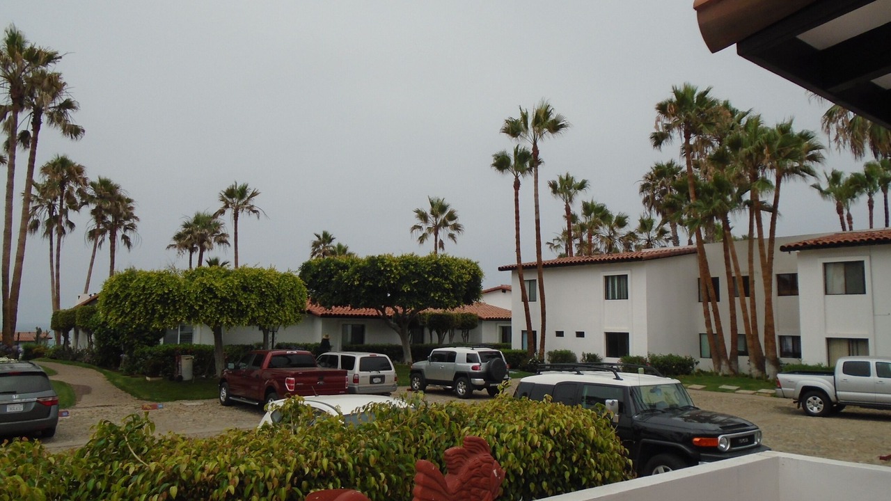 Photo of Outdoor in La Paloma