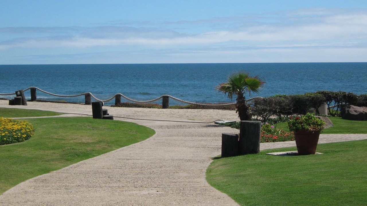 Photo of Outdoor in La Paloma