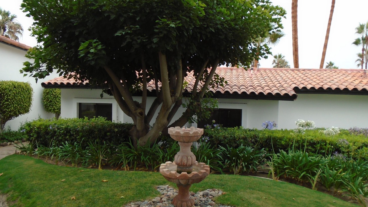 Photo of Outdoor in La Paloma