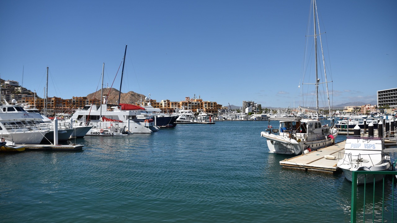 Photo of Others in Marina