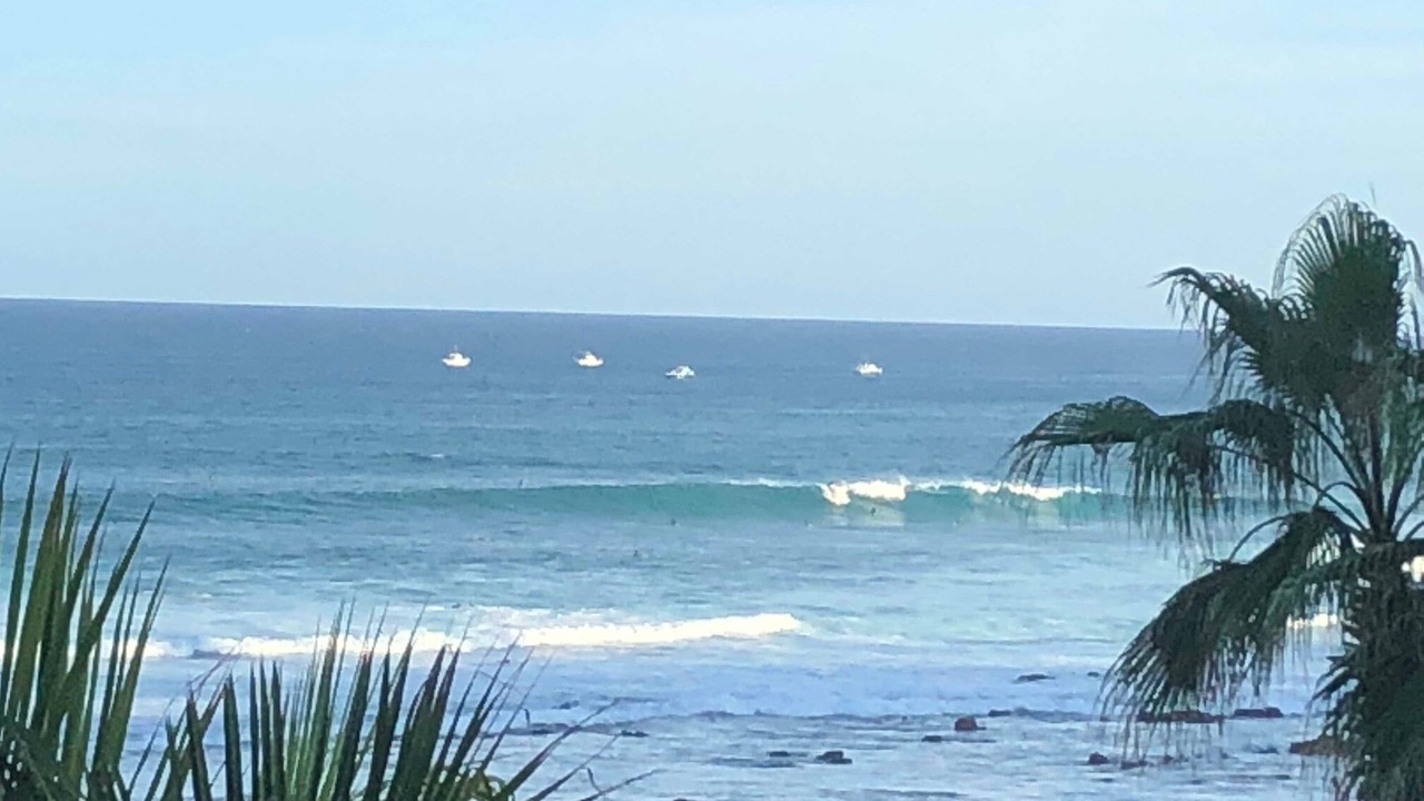 Photo of Others in San Jose del Cabo