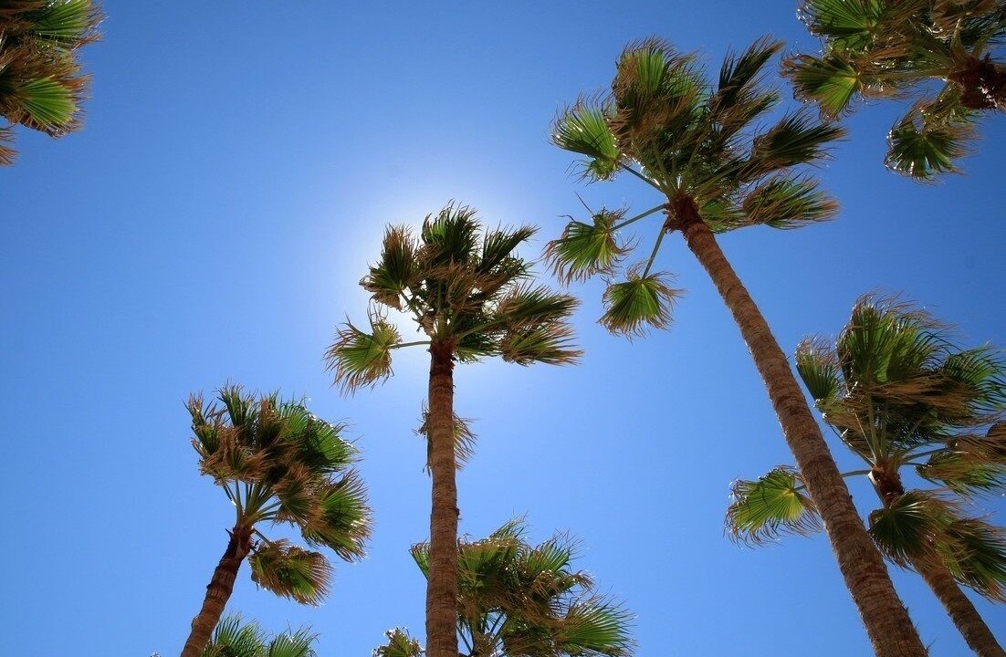 Photo of Outdoor in Las Conchas