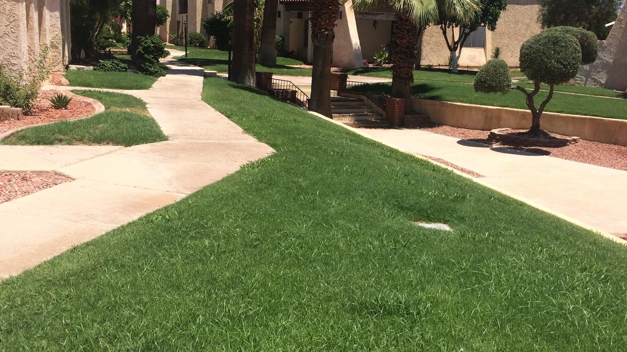 Photo of Others in Vista Del Valle