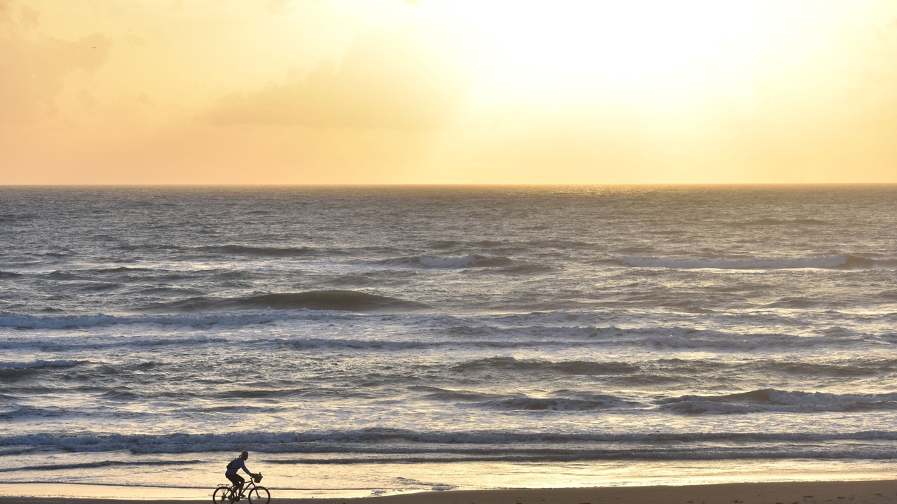 Photo of Others in South Padre Island