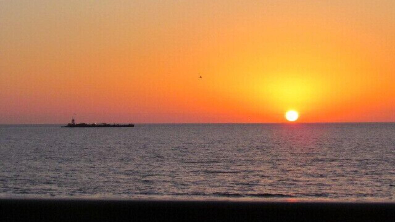 Photo of Others in South Padre Island