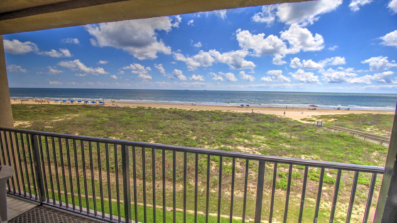 Photo of Others in South Padre Island