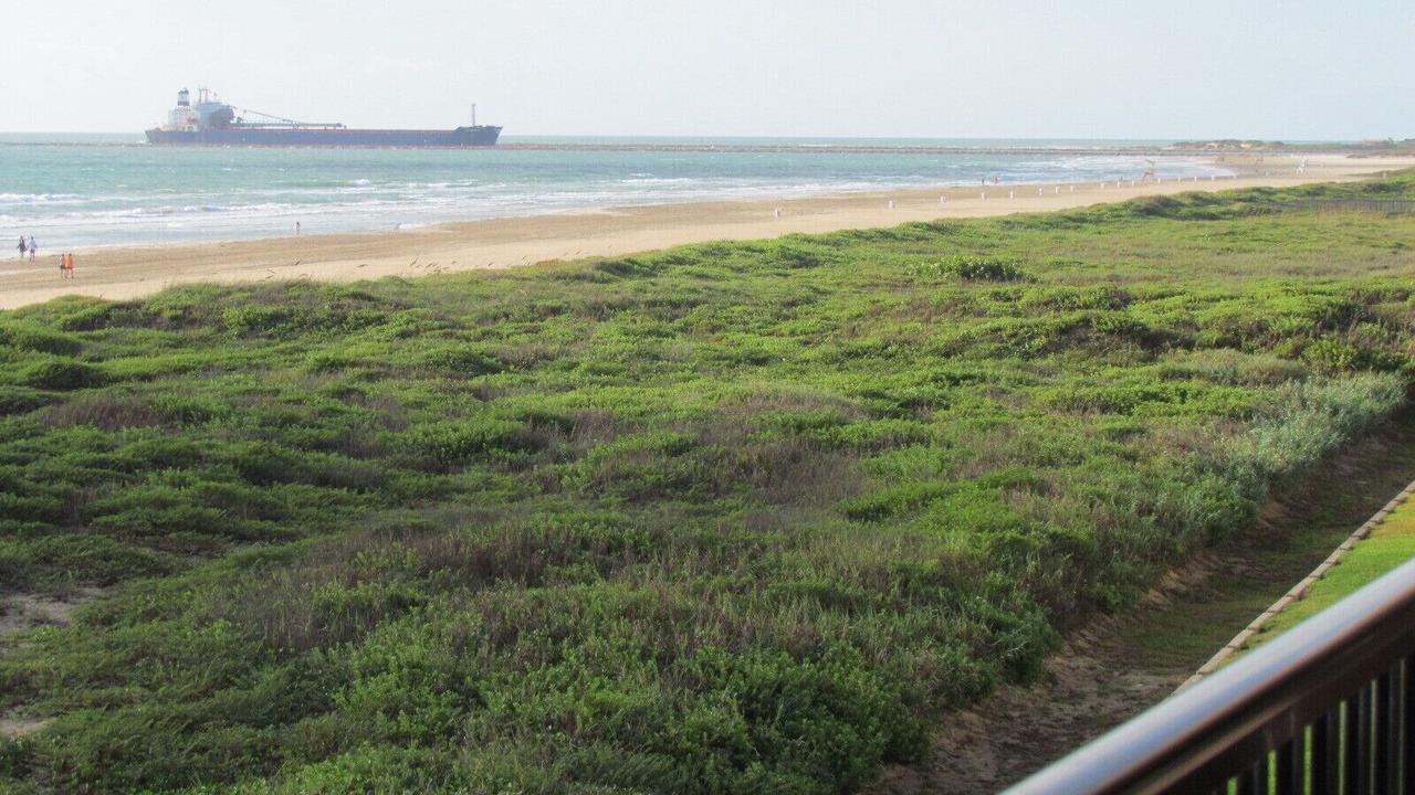 Photo of Patio Balcony in South Padre Island