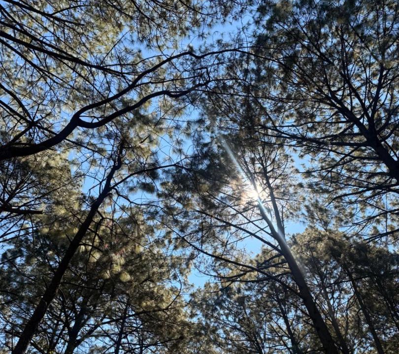 Photo of Outdoor in Mazamitla
