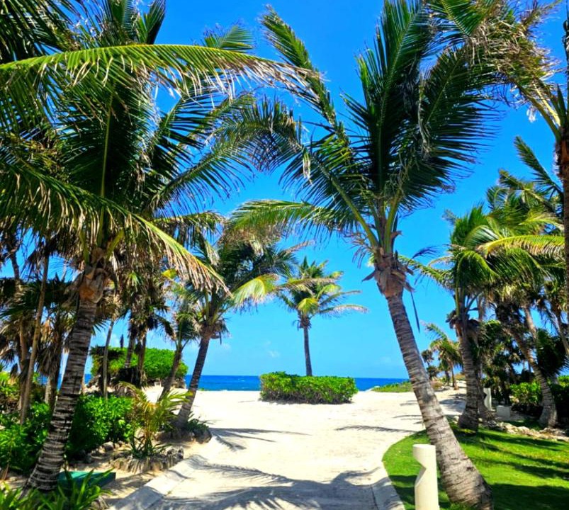 Photo of Others in Akumal
