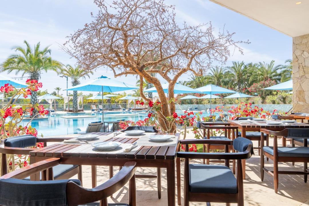 Photo of Others in Palmilla