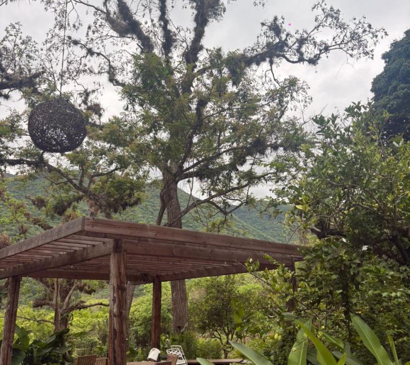 Photo of Outdoor in Gomez Farias