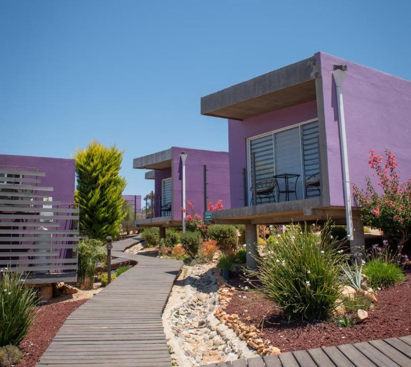 Photo of Others in Valle de Guadalupe