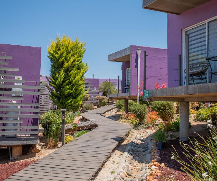 Photo of Others in Valle de Guadalupe