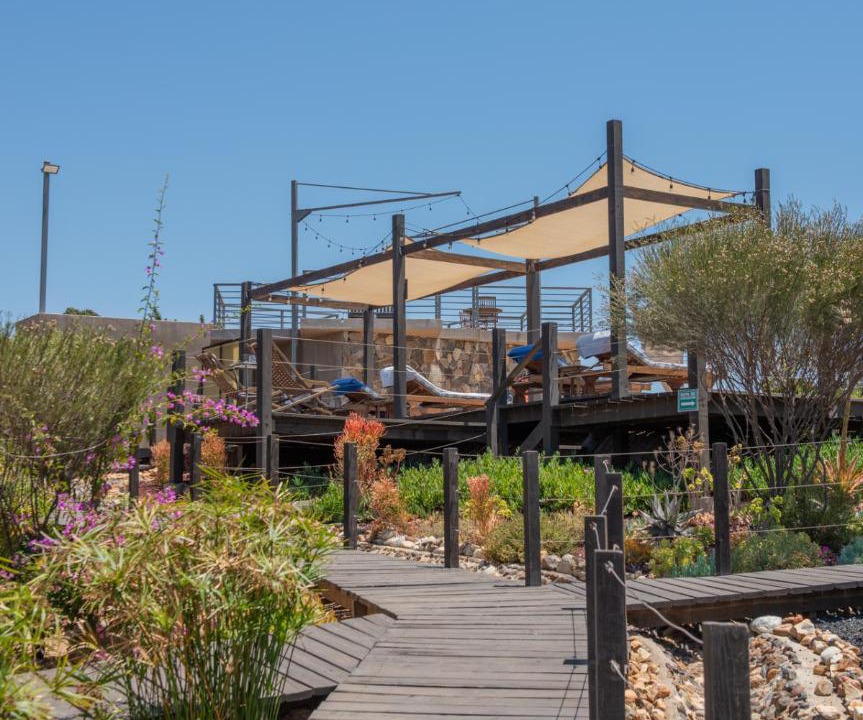 Photo of Others in Valle de Guadalupe