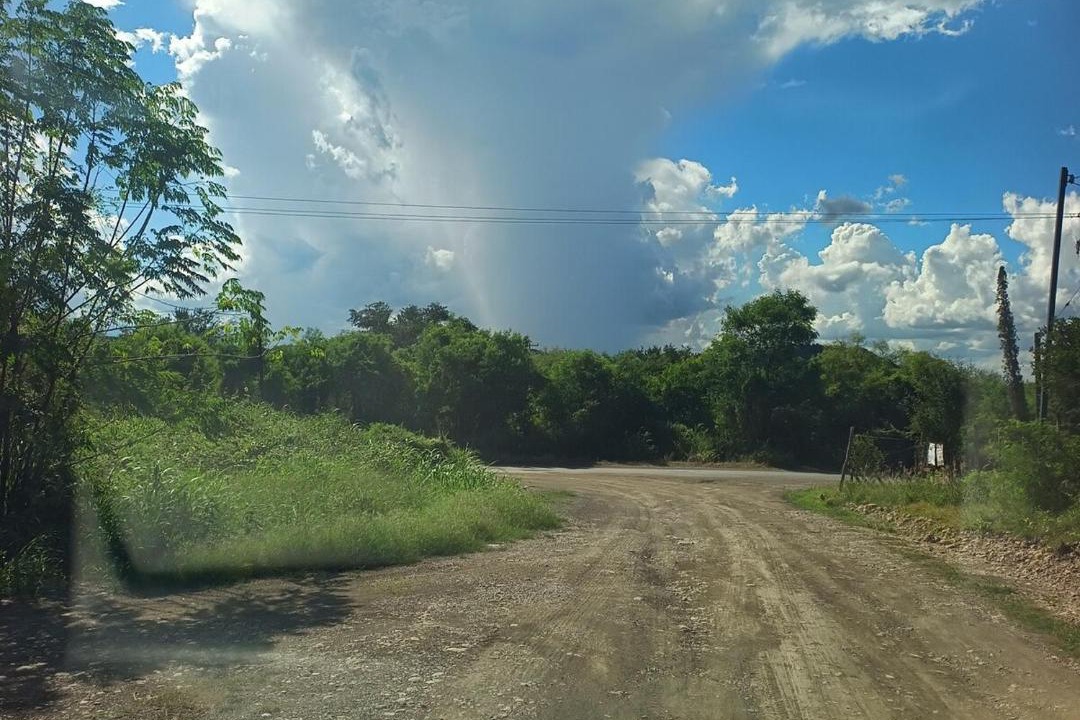 Photo of Others in Montemorelos