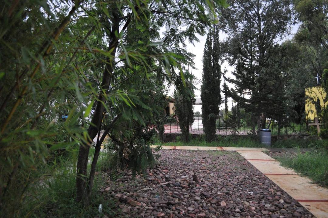 Photo of Outdoor in Morelos