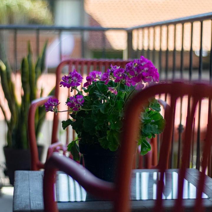 Photo of Patio Balcony in Zapopan