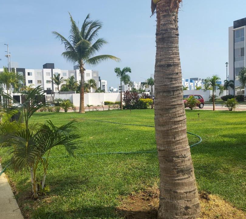 Photo of Others in Acapulco