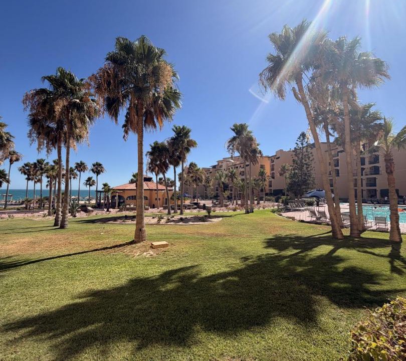 Photo of Others in Sandy Beach