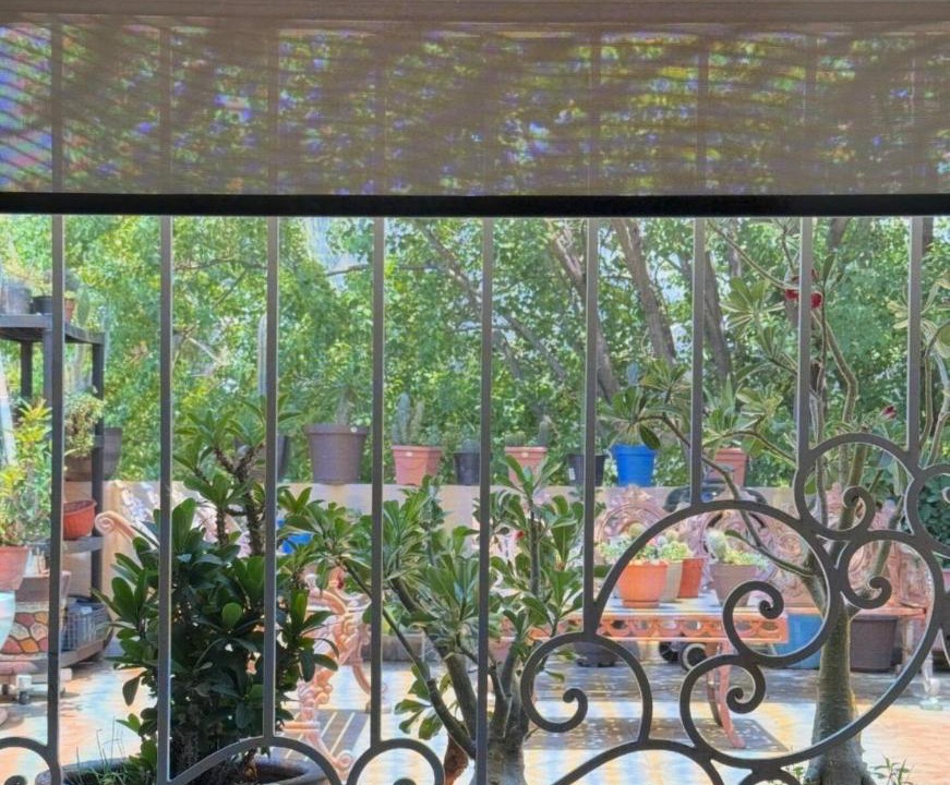Photo of Others in Monterrey