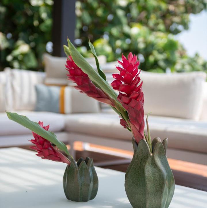 Photo of Others in Punta de Mita