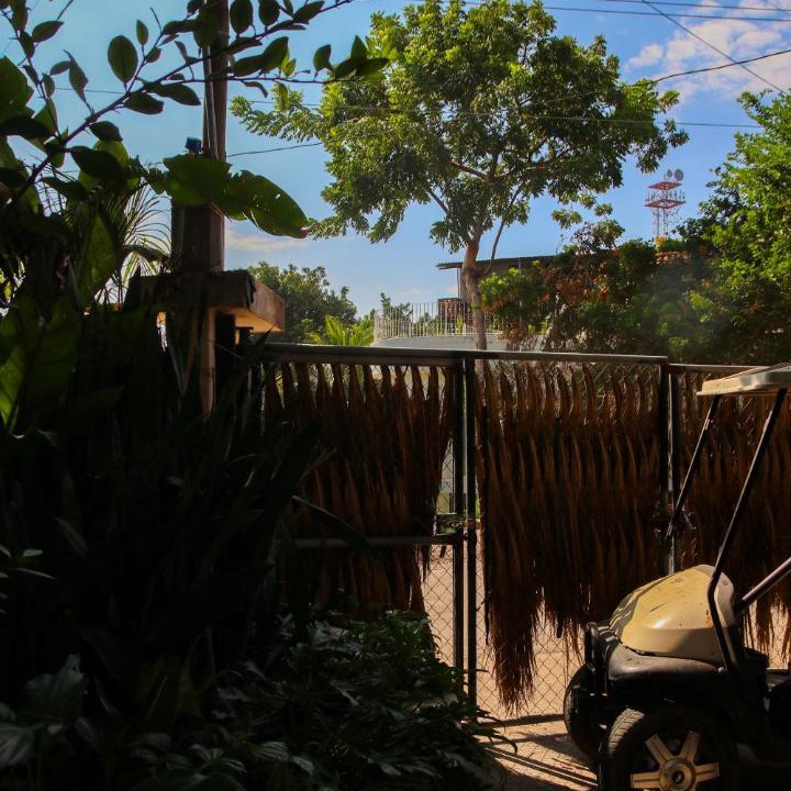 Photo of Others in Chacala