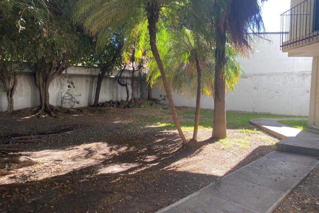 Photo of Others in Zapopan