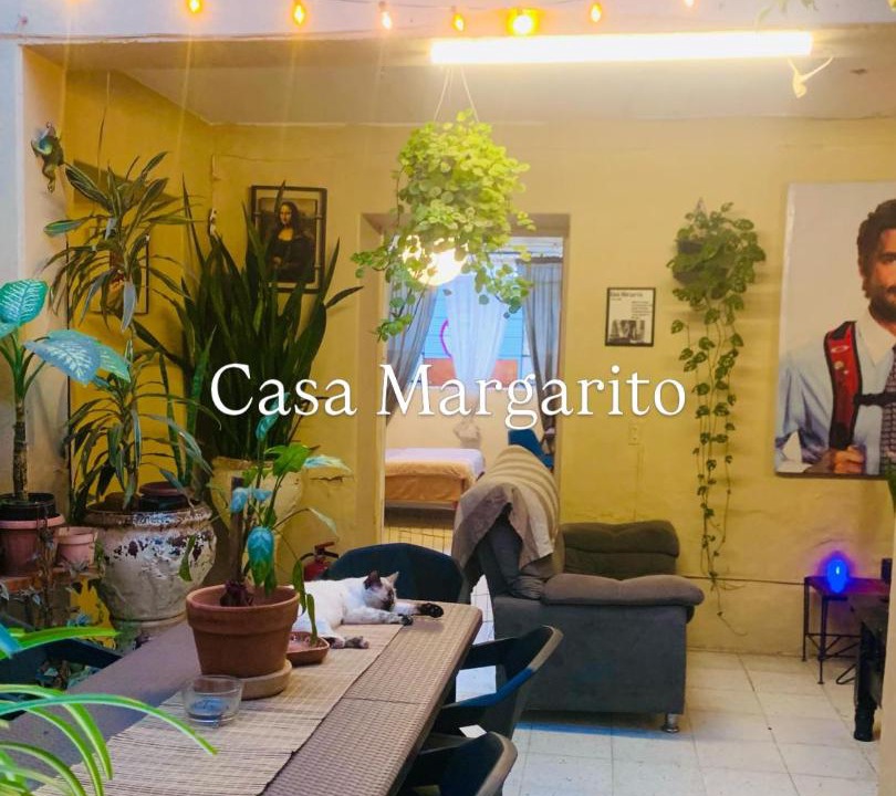Photo of Others in Downtown Guadalajara