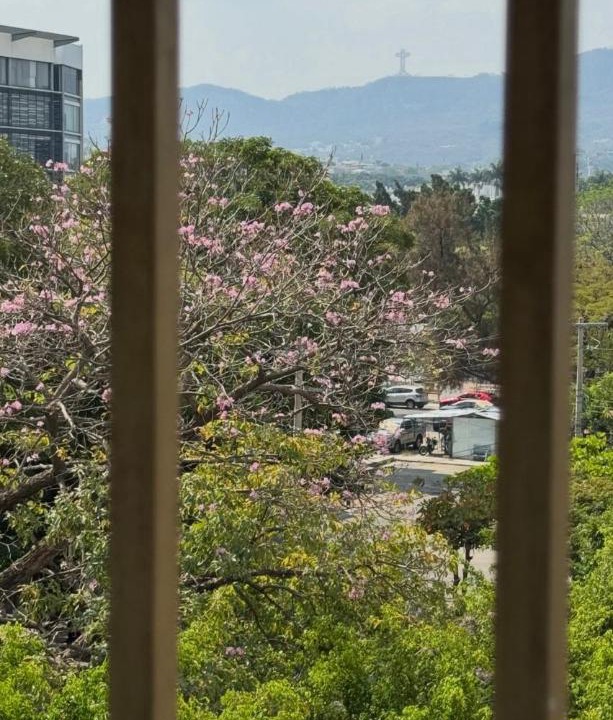 Photo of Others in Tuxtla Gutierrez