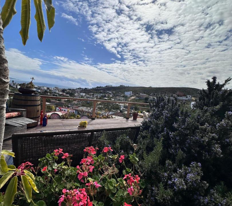 Photo of Others in Ensenada