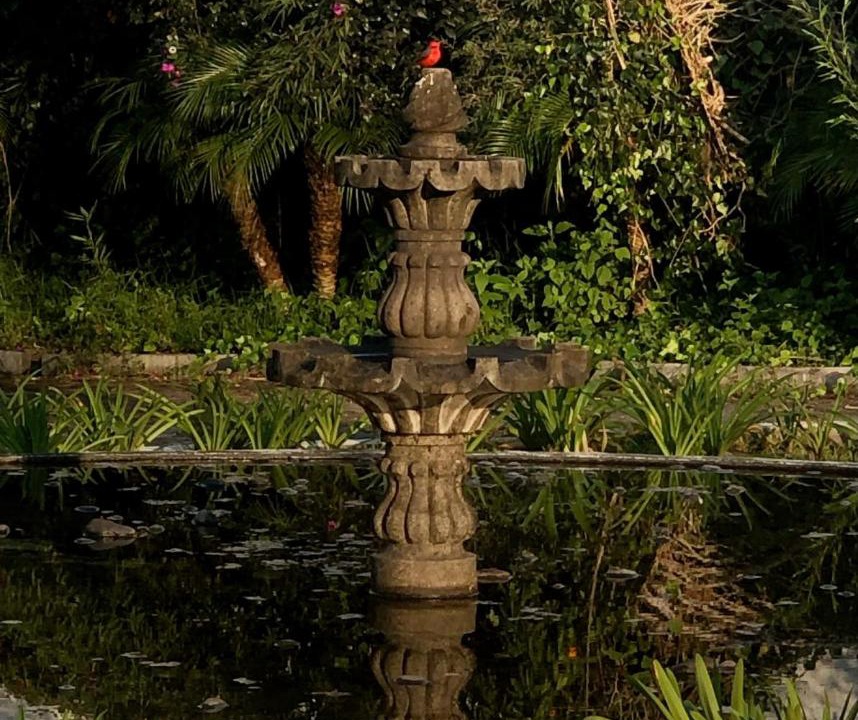 Photo of Others in El Santuario
