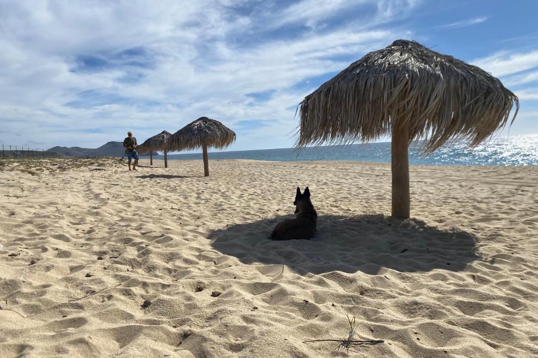 Photo of Others in Todos Santos